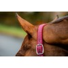 Amigo Headcollar & Leadrope Set