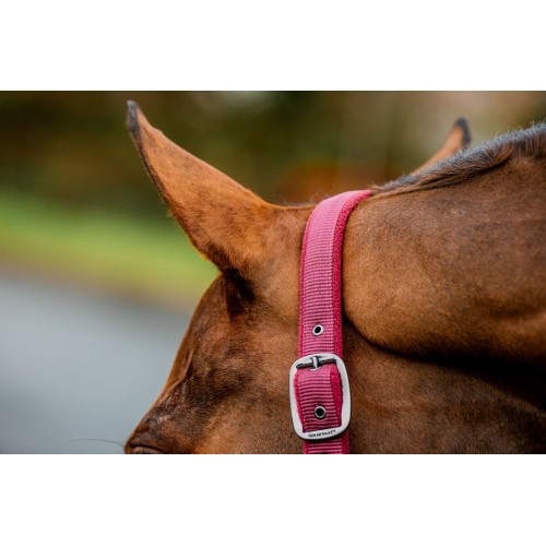 Amigo Headcollar & Leadrope Set