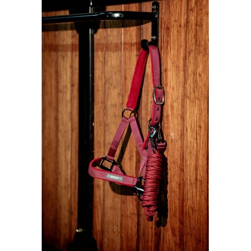 Amigo Headcollar & Leadrope Set