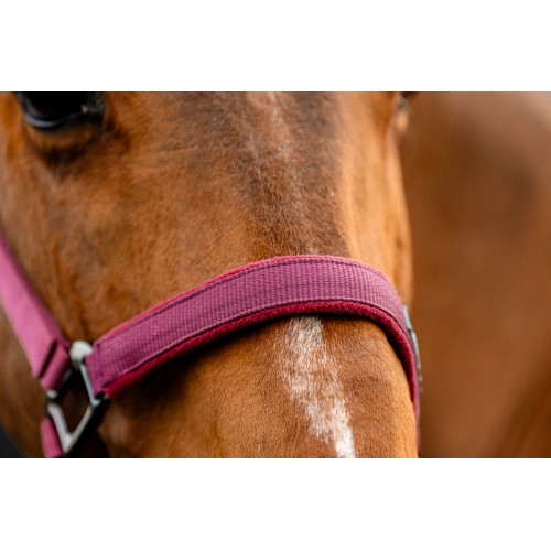 Amigo Headcollar & Leadrope Set
