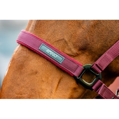 Amigo Headcollar & Leadrope Set