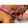 Amigo Headcollar & Leadrope Set