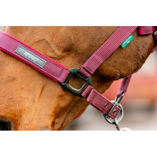 Amigo Headcollar & Leadrope Set