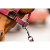 Amigo Headcollar & Leadrope Set