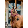 Amigo Headcollar & Leadrope Set
