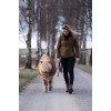 Suedwind Amaron FZ Wool Waterproof