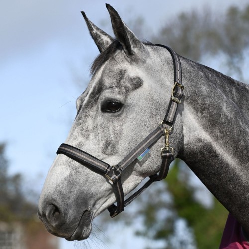 Bucas Dublin Halter Smoke Grey