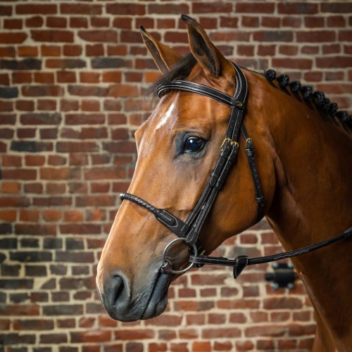 Dyon Bridle rope noseband leather