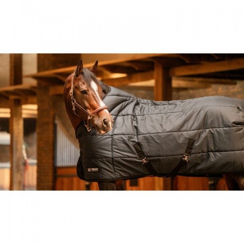 Trust Tetris Stable Blanket 200g