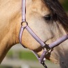 Imperial Riding SS25 Halter Economic