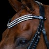 Imperial Riding SS26 Browband IRHMaxima