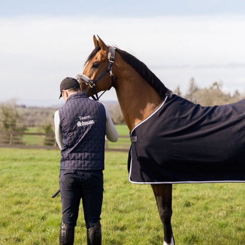 Bucas Emerald Wool Rug