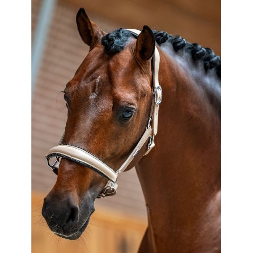 Equestrian Stockholm Glimmer Anatomical Leather Halter Sand