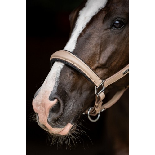 Equestrian Stockholm Glimmer Anatomical Leather Halter Sand