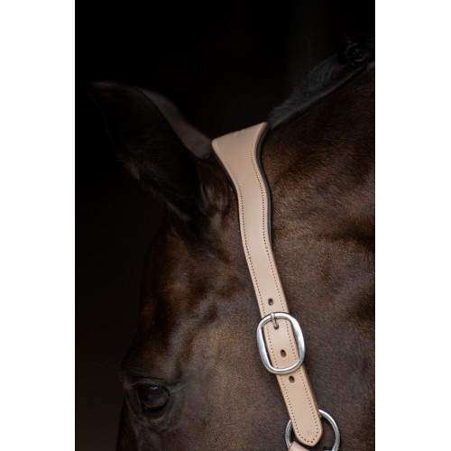 Equestrian Stockholm Glimmer Anatomical Leather Halter Sand