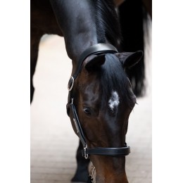 Eskadron Stallion кожаный недоуздок