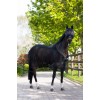 Eskadron Fly Mask Halter