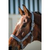 Eskadron SS26 Platinum Halter Sparkle Double Pin