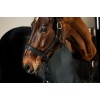 Eskadron SS25 Platinum Halter Softshell Pearls Double Pin