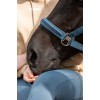 Eskadron SS26 Classic Halter SOFTSHELL JEWEL DP