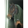 Eskadron FW25 Dynamic Double Pin Headcollar