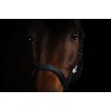 Eskadron FW25 Dynamic Sparkle Double Pin Halter