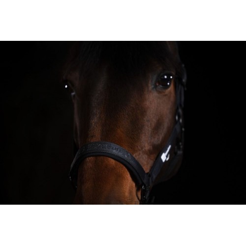 Eskadron FW25 Dynamic Sparkle Double Pin Halter