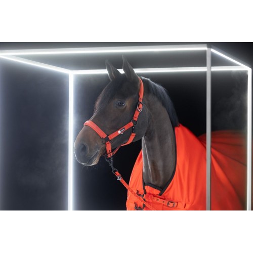 Eskadron FW25 Dynamic Sparkle Double Pin Halter