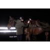 Eskadron FW25 Dynamic Dynair Mesh Sport Ear Bonnet