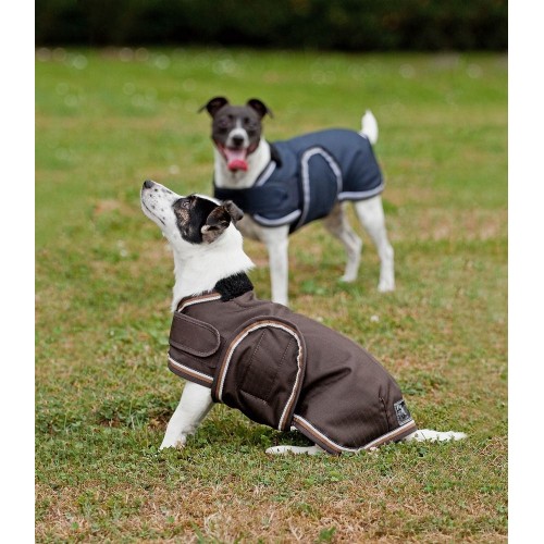 Eskadron Ripstop Dog Blanket