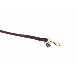 Eskadron чомбур Carabiner Hook Gold