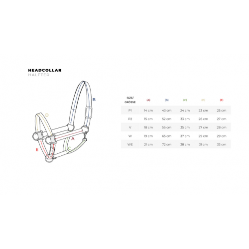 Eskadron Control Halter Pin Buckle