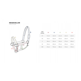 Eskadron недоуздок Control Slide Buckle II