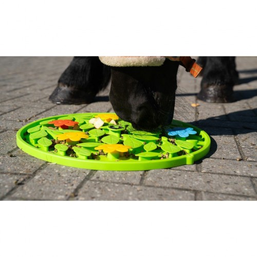 Excellent Horse Snuffle Mat Flower Power