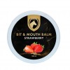 Excellent Horse Bit & Mouth Balm