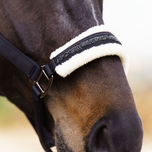 Imperial Riding FW25 Halter Jewel