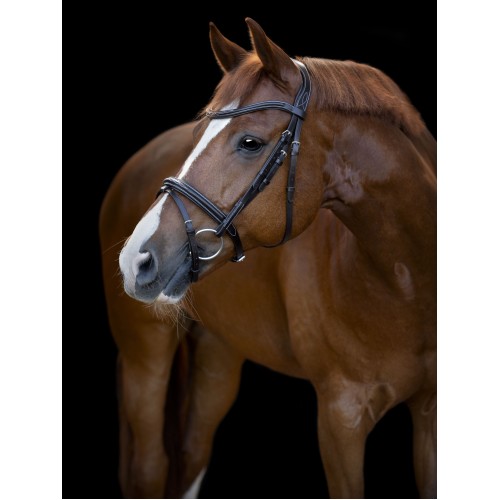 Catago SS26 Torina Bridle