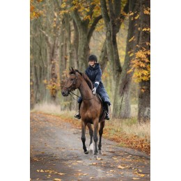 Kingsland FW25 перчатки KLMaurice