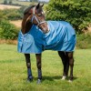 Bucas Freedom Turnout Blueberry