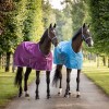 Bucas Freedom Turnout Blueberry