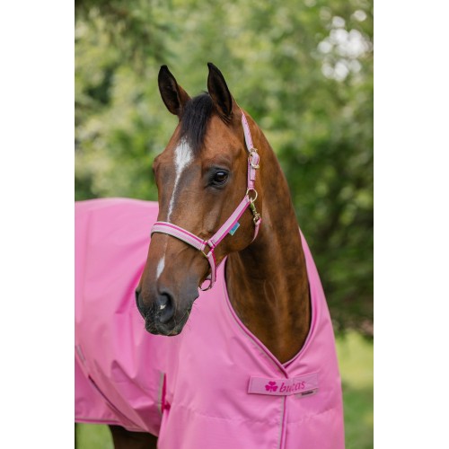 Bucas Freedom Turnout Aurora Pink