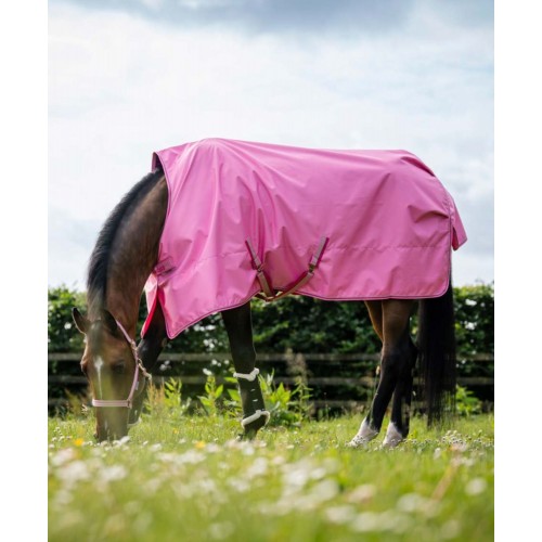 Bucas Freedom Turnout Aurora Pink