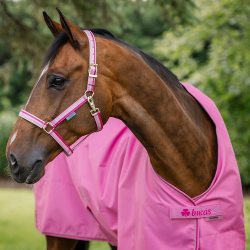Bucas Freedom Turnout Aurora Pink
