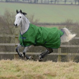 Bucas Freedom попона Light Emerald зелёный