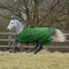 Bucas Freedom Turnout Light Emerald Green