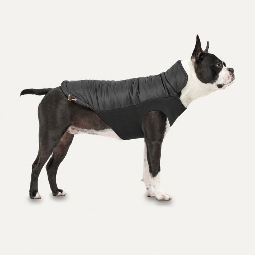 Hofman Goo-eez Dog Blanket