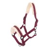 Imperial Riding FW25 Halter Jewel