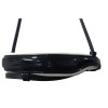 HB Showtime Anatomic Patent Leather Noseband