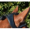 HB Showtime Loose Anatomical Headpieces - Weymouth & Bradoon