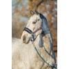 Horka FW'20 Halter Set Ride More Winter